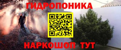 бошки Лесосибирск