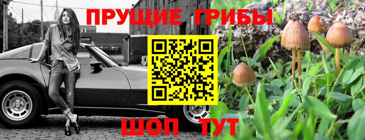 Тихвин  Галлюциногенные грибы прущие грибы  Псилоцибиновые грибы Psilocybe  Вход с VPN 